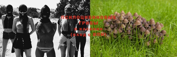 прущие крисы Наволоки