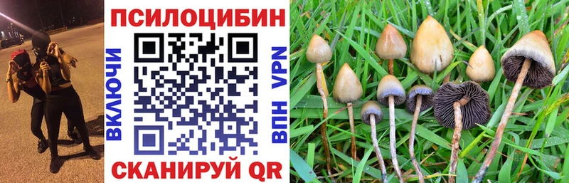 Псилоцибиновые грибы Psilocybe  Татарск 