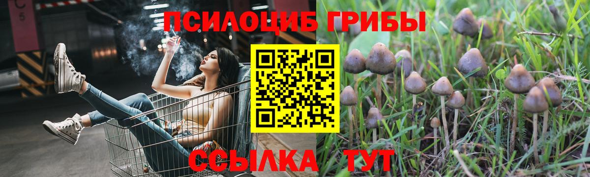 Псилоцибиновые грибы мухоморы  Вход с VPN  Татарск 