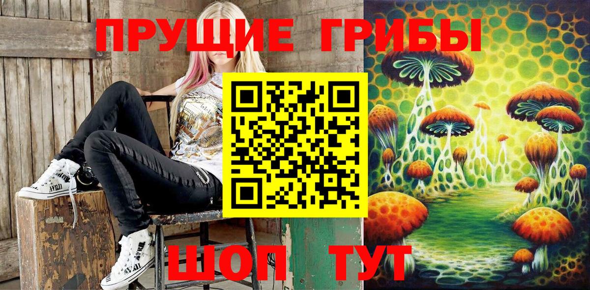 Псилоцибиновые грибы Psilocybine cubensis Татарск